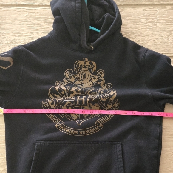 Warner Bros. Black Hoodie with Gold Emblem - Picture 7 of 8